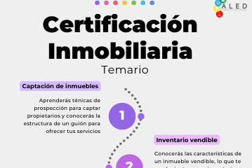 Lee más sobre el artículo Temario